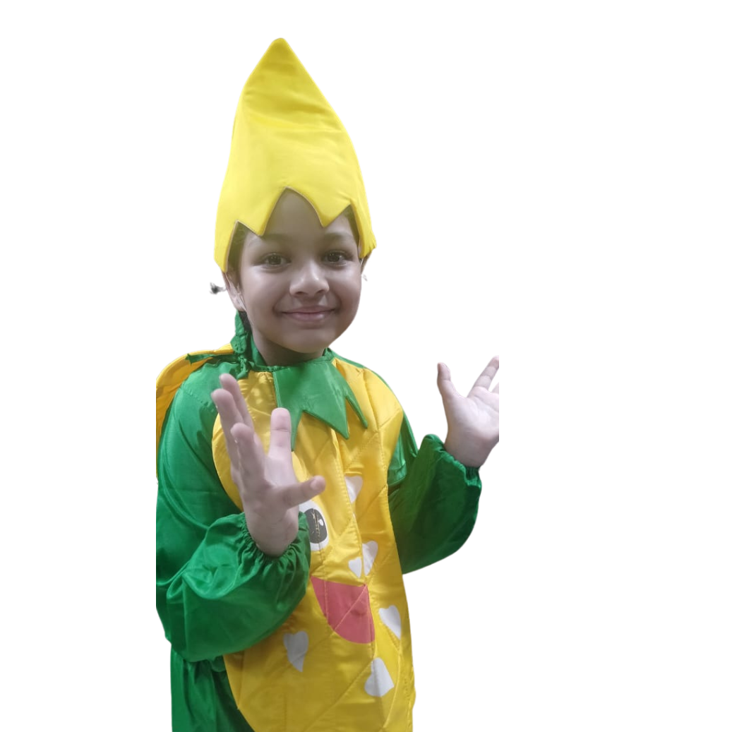 DIY Pineapple Costume Kit Tutu and Tee Costume Kit No Sew Halloween Costumes  Toddler Pineapple Costume Kids Baby Pineapple Costume - Etsy