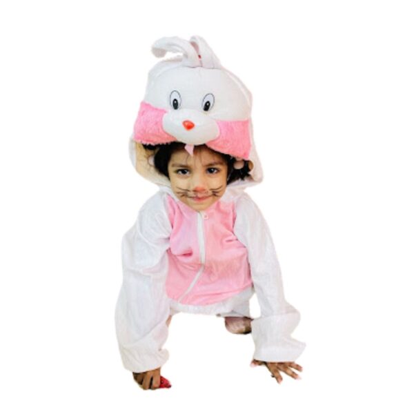 Rabbit Animal Fancy Dress Costume on Rent - Image 3