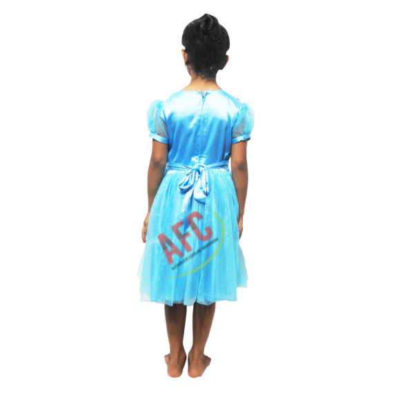 Skyblue Frock Sliver Flower Design Dress