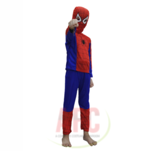 best spider-man fancy dress