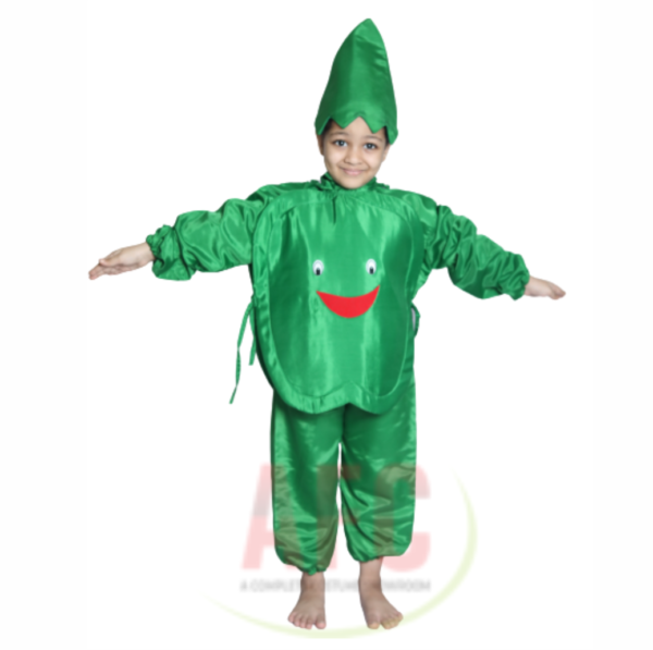 best capsicum fancy dress