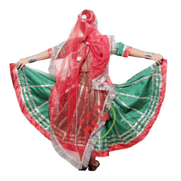 Rajasthani Lehenga (Red and Green)02