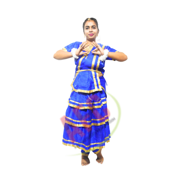 Bharatanatyam Blue Fancy Dress