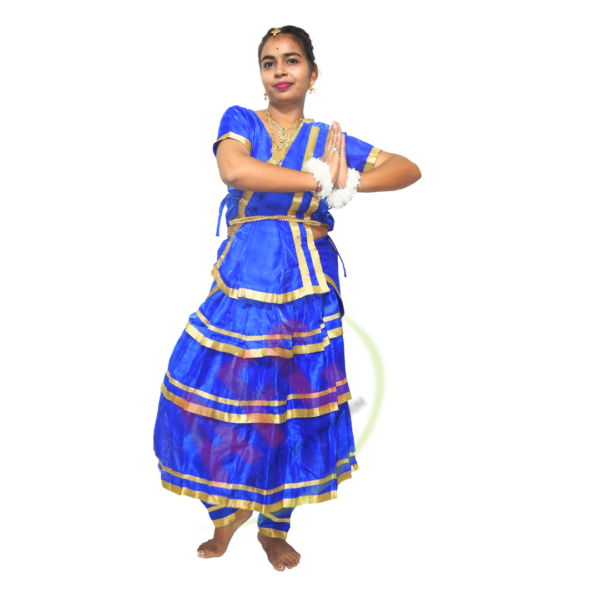 Bharatanatyam Blue Fancy Dress