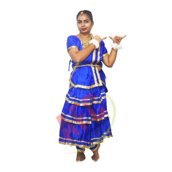 Bharatanatyam Blue Fancy Dress