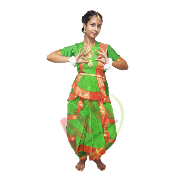 Bharatanatyam Green Fancy Dress 1